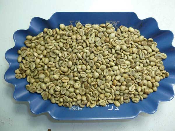 Coffee samples Coffee samples