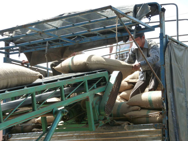 loading the trucks