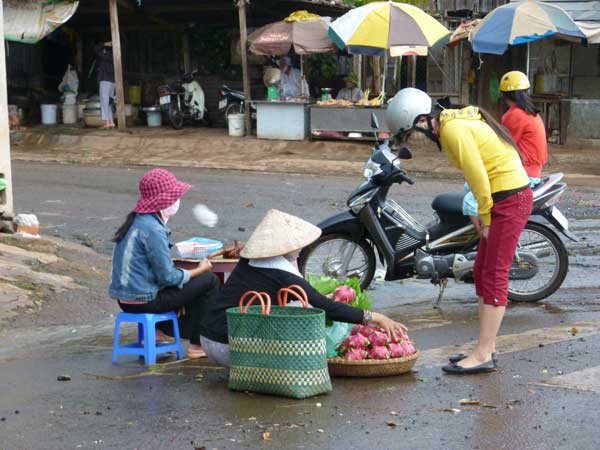 A Fruit Seller in Buon Ma Thuot A Fruit Seller in Buon Ma Thuot