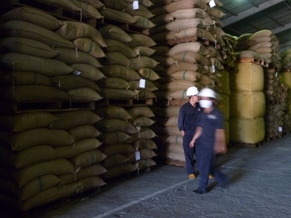 workers_in_the_warehouse workers_in_the_warehouse