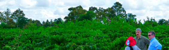 DAKMAN works hard to ensure that conservation remains a key focus in our work Sustainability